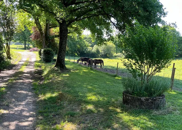 Dom wakacyjny Le Atlas Eauze